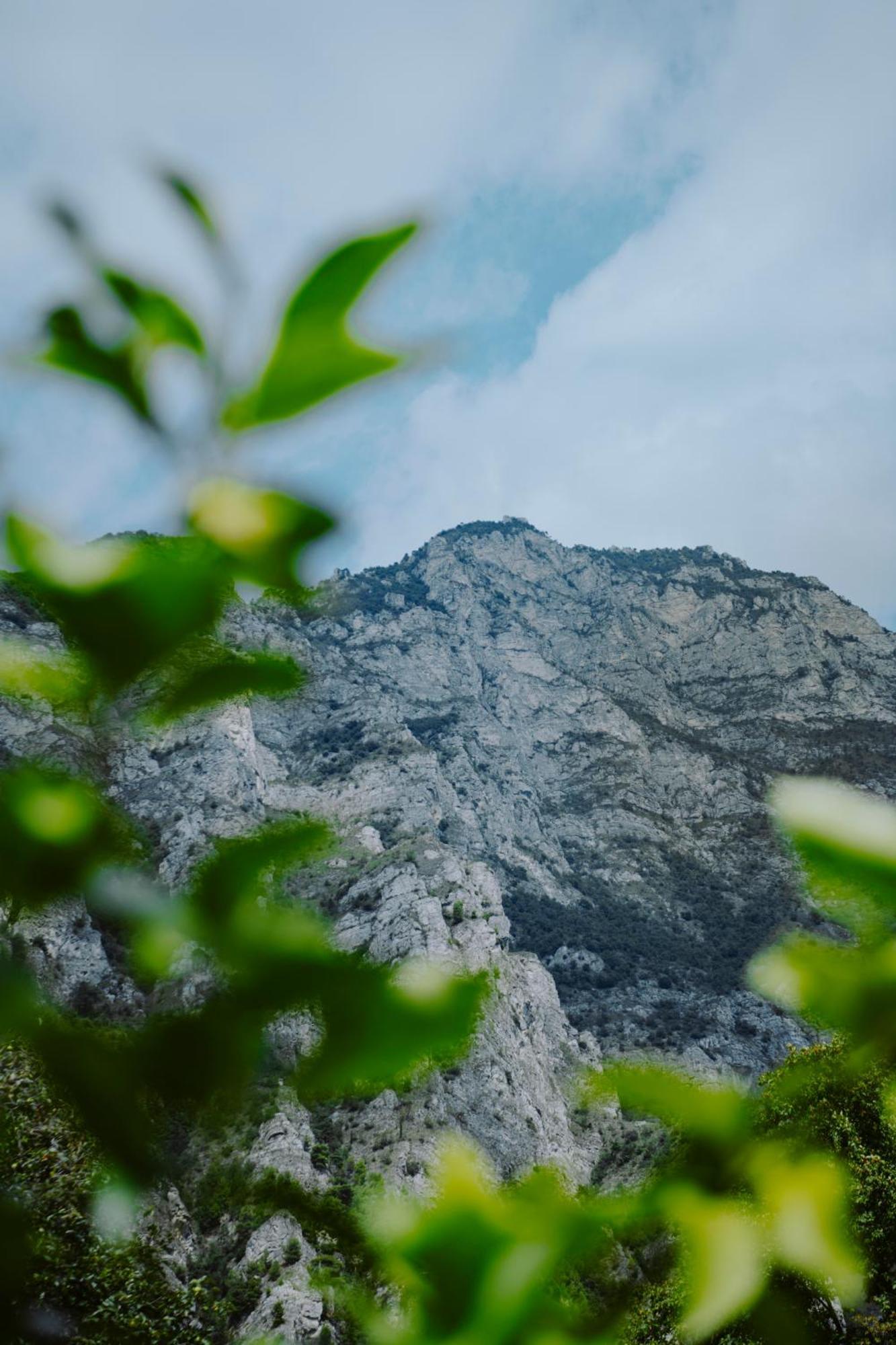 Hotel Limone 3*